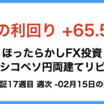 週次報告17週目