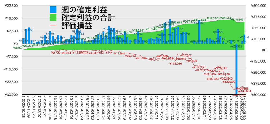 リピ系全体_利益含み損5/30