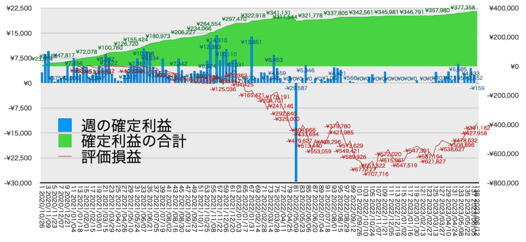 リピ系全体_利益含み損6/12